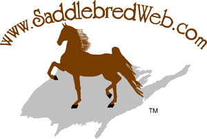 Saddlebred Showcase